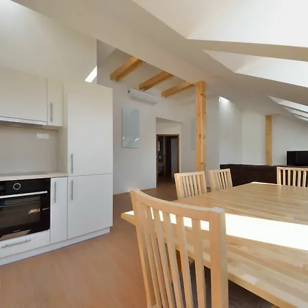 Appartement Downtown Chlumova *