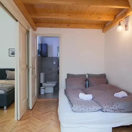 Wenceslas For 10 With Ac Apartment *