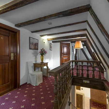 Otel Cerny Slon 4*