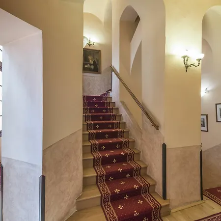 Otel Cerny Slon Prag