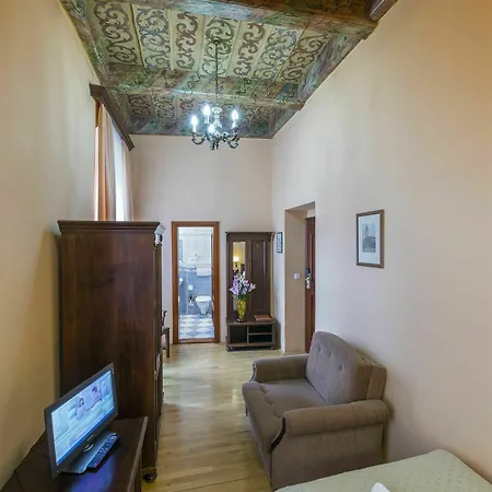Otel Cerny Slon