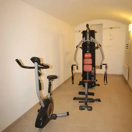 Halkova 5 Apartment *
