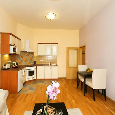Apartment Vinohrady Moravska Prague