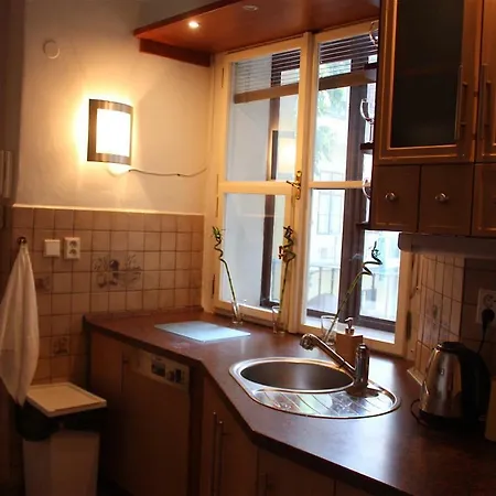 Spacious Charles Bridge Apt In The Heart Of Apartment
