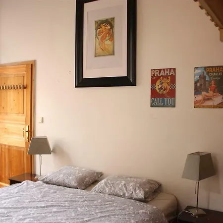 Spacious Charles Bridge Apt In The Heart Of Apartment