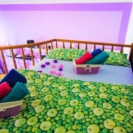 Cozy Apartamento