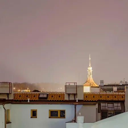 Unique Luxury Loft With Terrace In Old Town 公寓 布拉格
