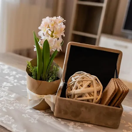 Apartmán Rezidence Hadovitá