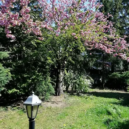 Apartment Villa Andy *